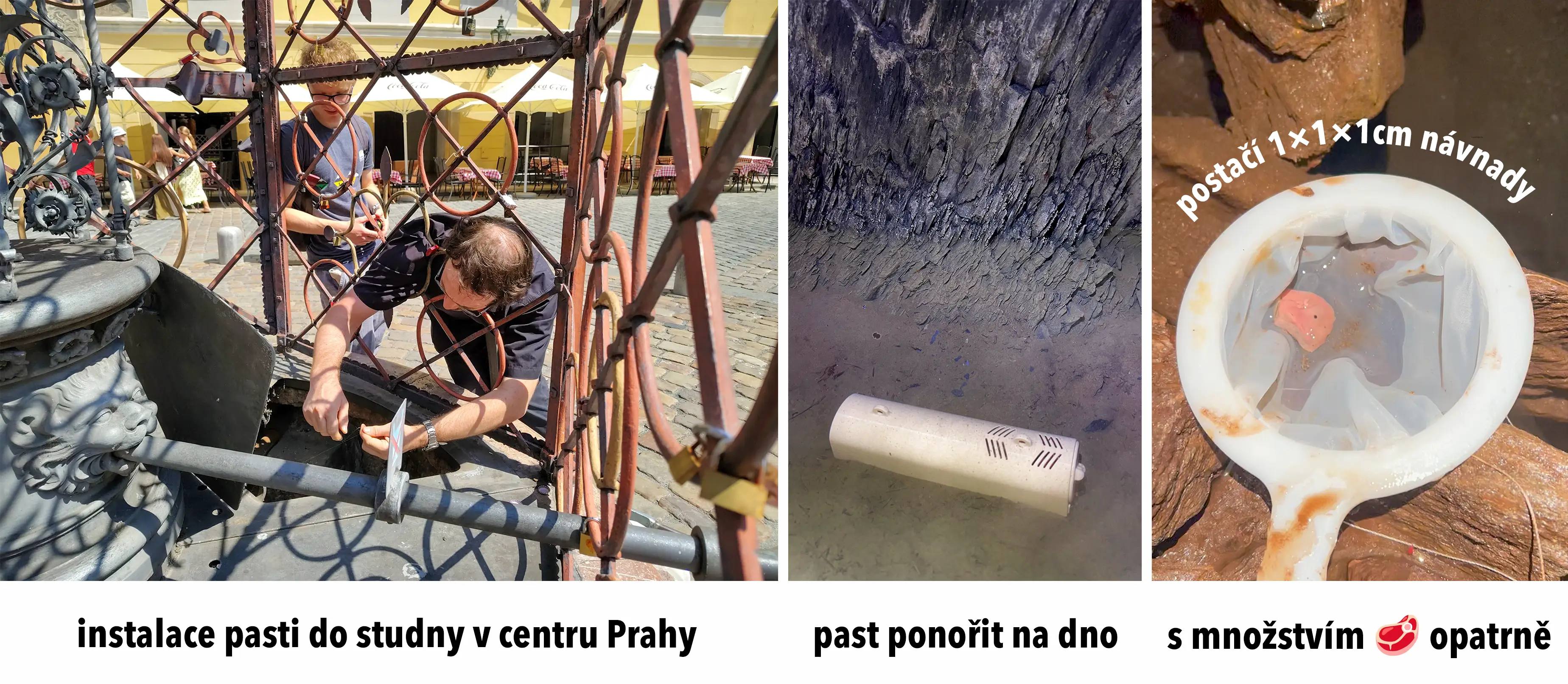 Pasti