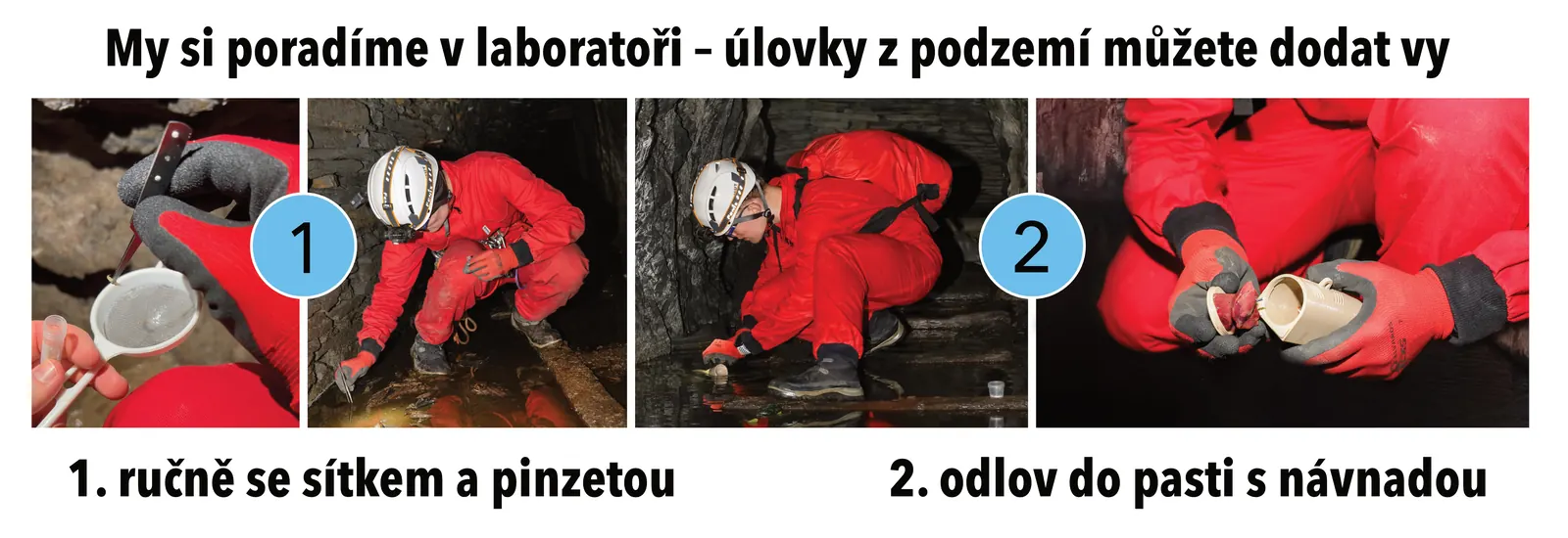 Sběr blešivců — metodika